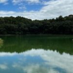 レス2番のリンク先のサムネイル画像