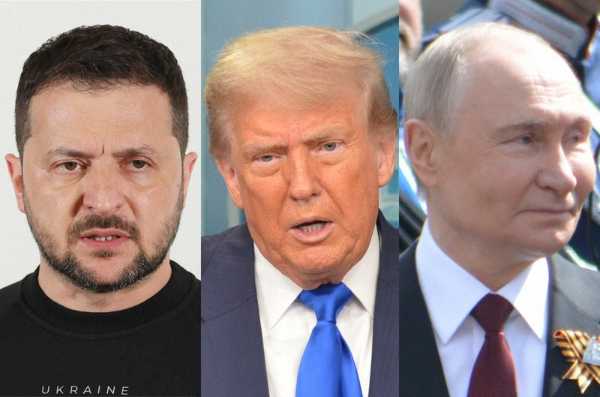 記事サムネイル