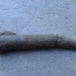 レス3番のリンク先のサムネイル画像