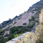 レス11番の画像1