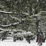 レス2番のリンク先のサムネイル画像