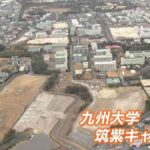 レス2番のリンク先のサムネイル画像