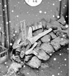 レス8番の画像1