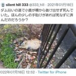 レス59番の画像2