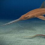 レス25番の画像1