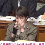 レス1番のリンク先のサムネイル画像