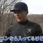 レス241番の画像1