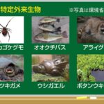 レス41番の画像1