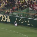 レス36番の画像1