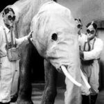 レス4番の画像1