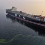 レス1番のリンク先のサムネイル画像