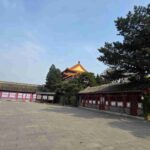 レス3番の画像1