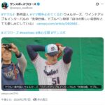 レス44番の画像1