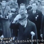 レス5番の画像3