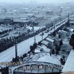 レス5番の画像1