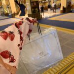 レス6番の画像2