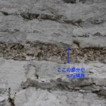 レス2番の画像1