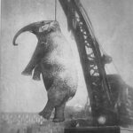 レス6番の画像1