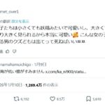 レス28番の画像4