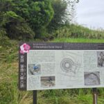 レス110番の画像2