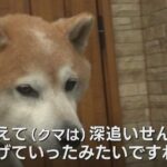 レス1番の画像2