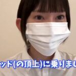 レス3番の画像1