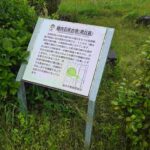 レス56番の画像1