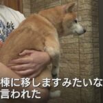 レス1番の画像3