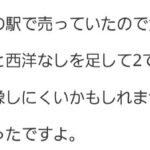 レス24番の画像1
