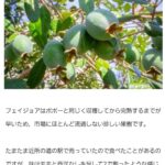 レス30番の画像1