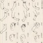 レス37番の画像1