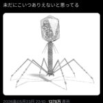 レス1番の画像1