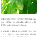 レス46番の画像1