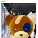 レス1番の画像1