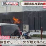 レス1番のリンク先のサムネイル画像