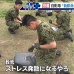 レス34番の画像1
