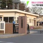 レス1番のリンク先のサムネイル画像