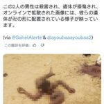 レス2番の画像1