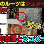 レス39番の画像2