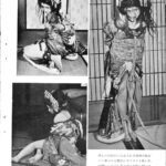レス11番の画像2