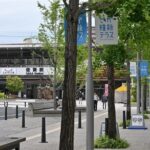 レス1番のリンク先のサムネイル画像