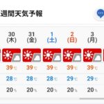 レス35番の画像1