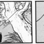 レス6番の画像1