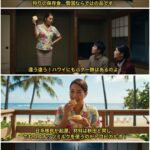 レス16番の画像1