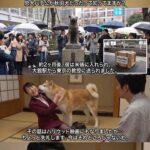 レス3番の画像1