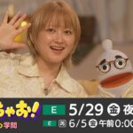 レス1番のリンク先のサムネイル画像