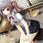 レス8番の画像2