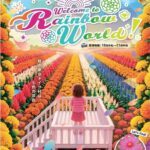 レス1番のリンク先のサムネイル画像