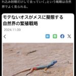 レス1番の画像1