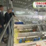 レス1番のリンク先のサムネイル画像